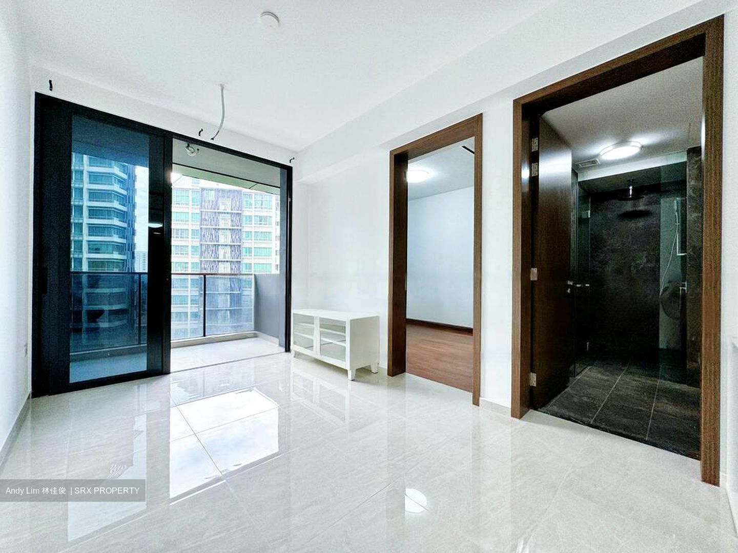 Kopar At Newton (D9), Apartment #458773571